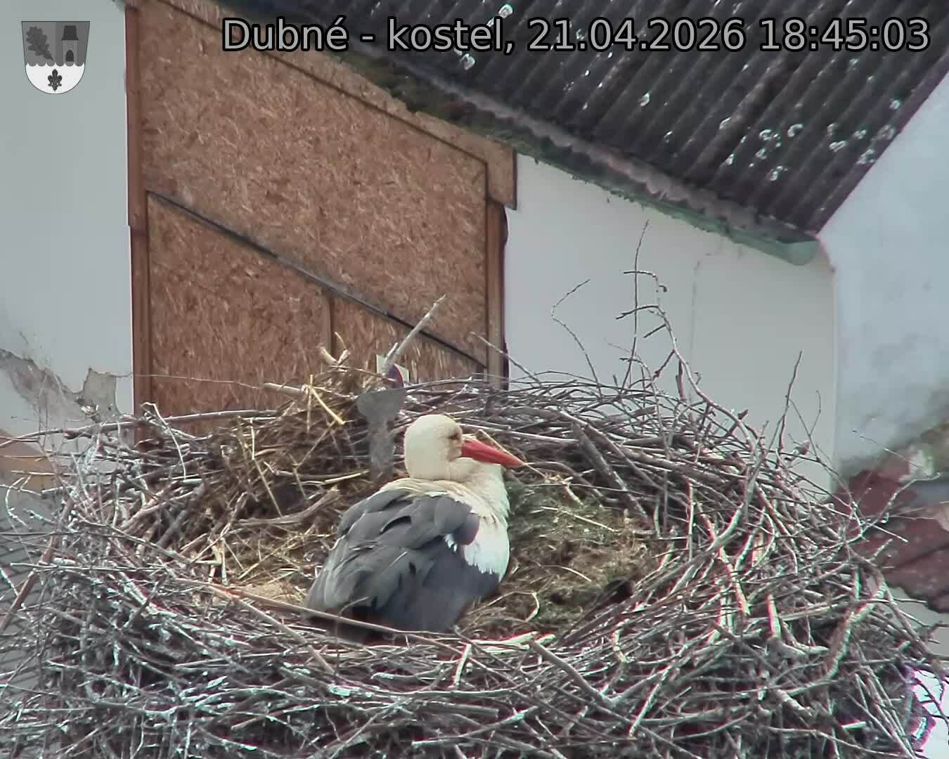 Capi_Dubne_20260421_184503.jpg (1350&nbsp;x&nbsp;1080)