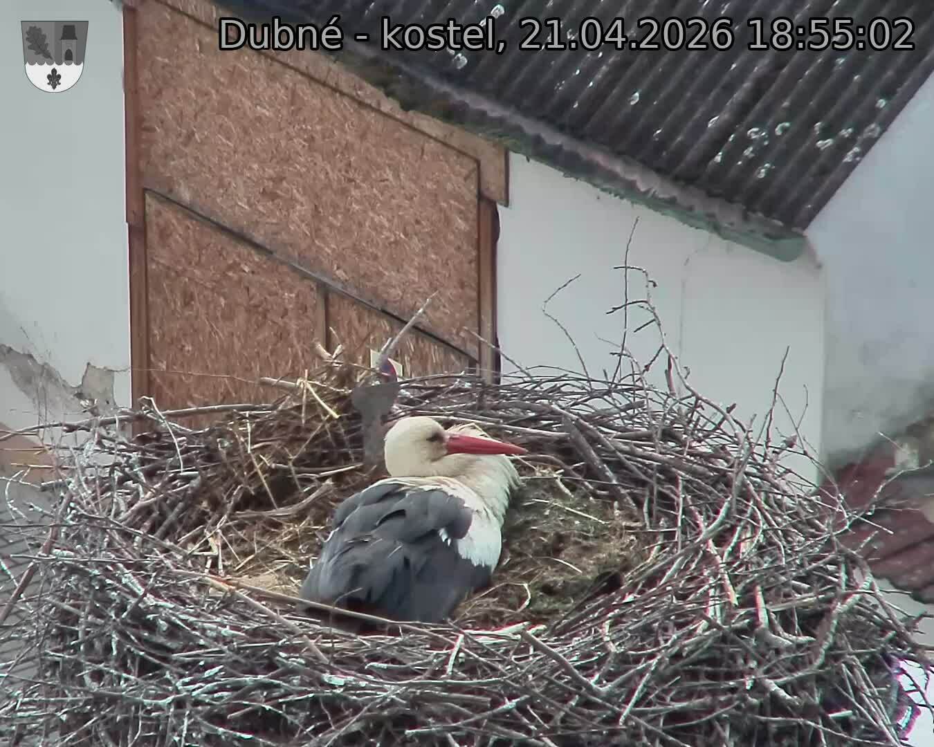 Capi_Dubne_20260421_185502.jpg (1350&nbsp;x&nbsp;1080)