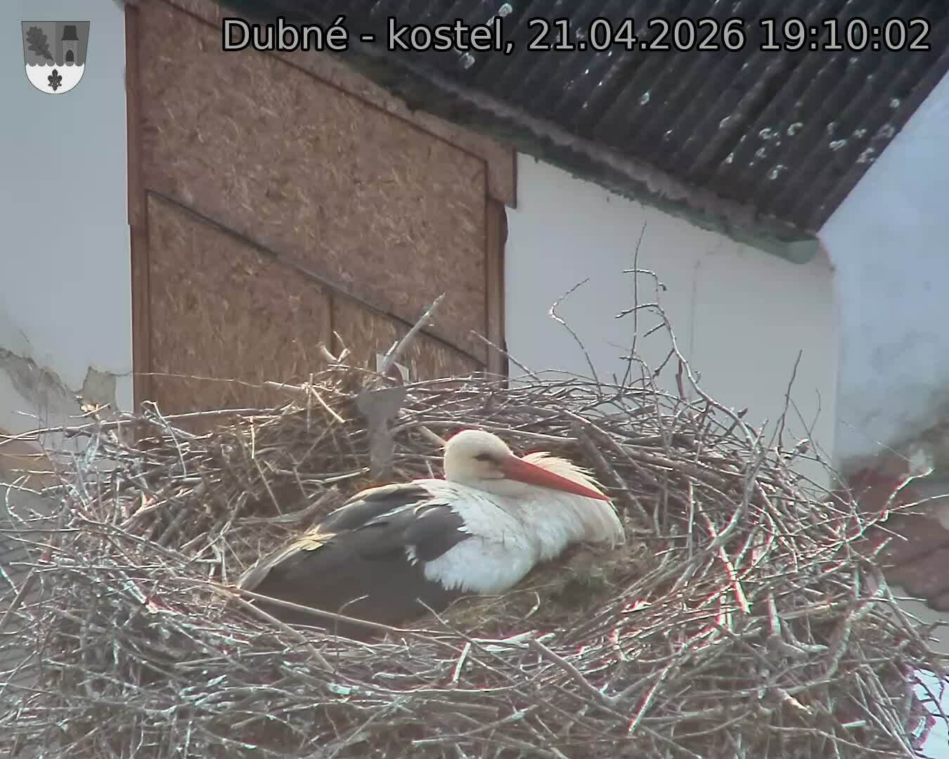 Capi_Dubne_20260421_191002.jpg (1350&nbsp;x&nbsp;1080)