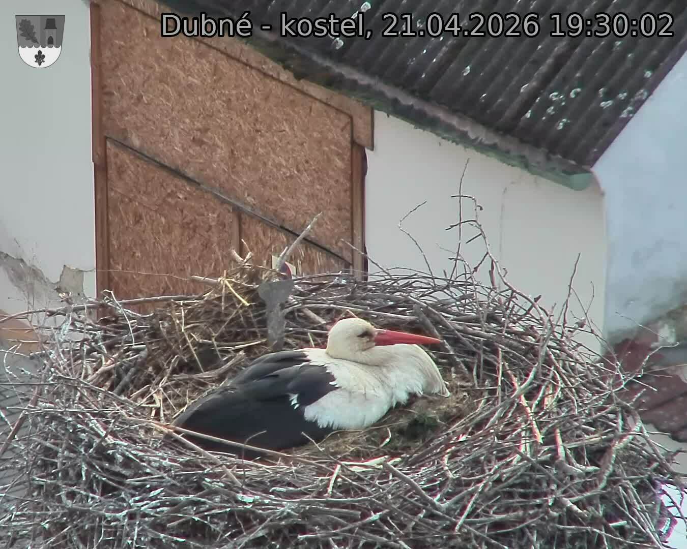 Capi_Dubne_20260421_193002.jpg (1350&nbsp;x&nbsp;1080)