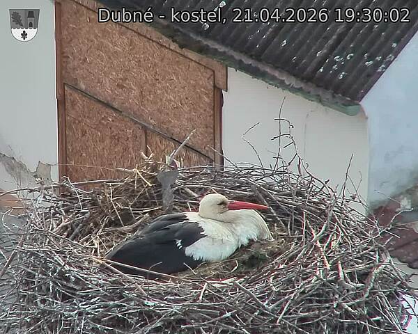 Capi_Dubne_20260421_193002.jpg (1350&nbsp;x&nbsp;1080)