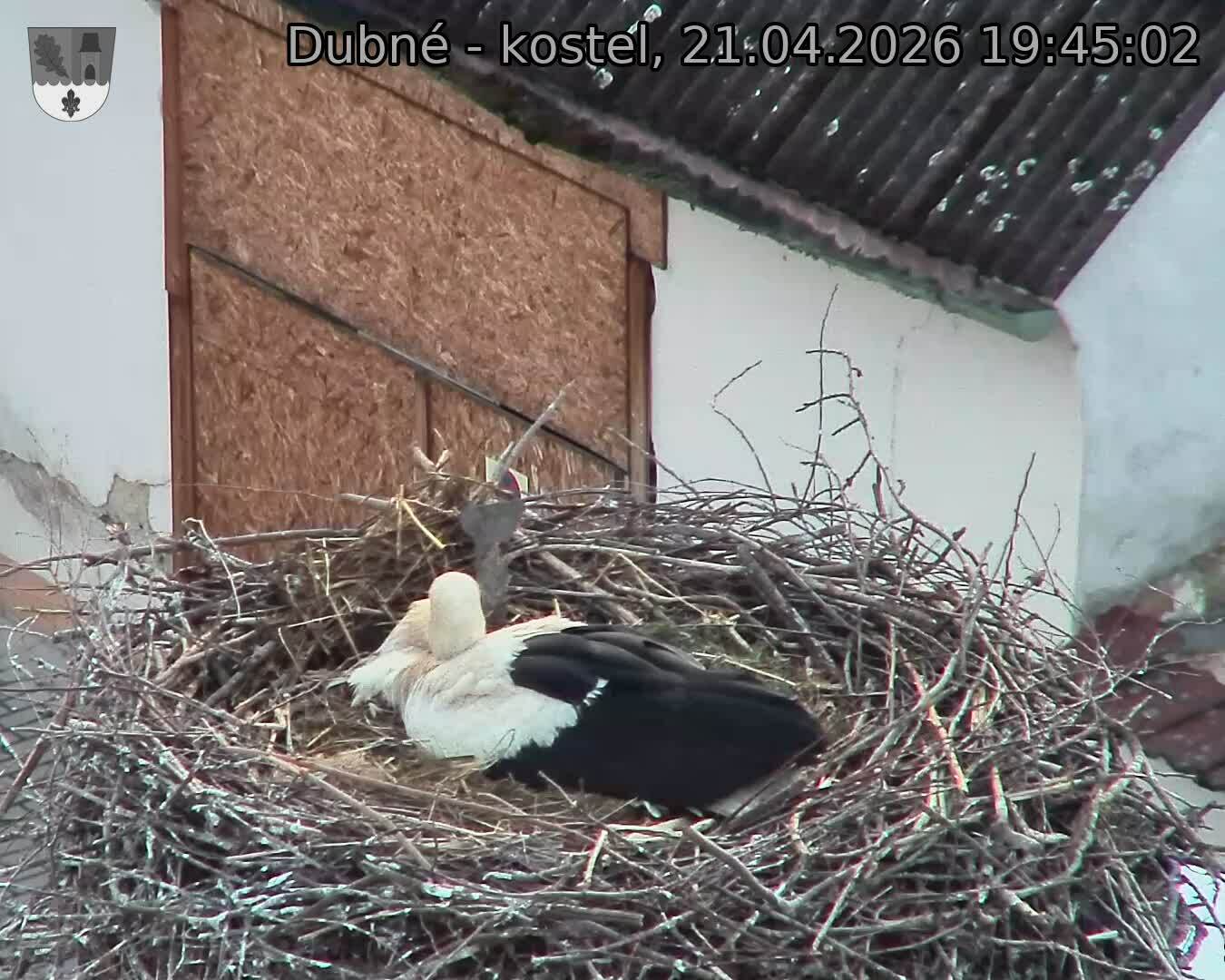 Capi_Dubne_20260421_194502.jpg (1350&nbsp;x&nbsp;1080)