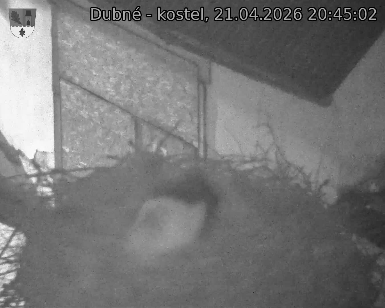 Capi_Dubne_20260421_204502.jpg (1350&nbsp;x&nbsp;1080)