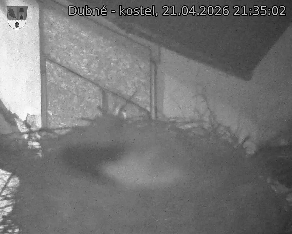 Capi_Dubne_20260421_213502.jpg (1350&nbsp;x&nbsp;1080)