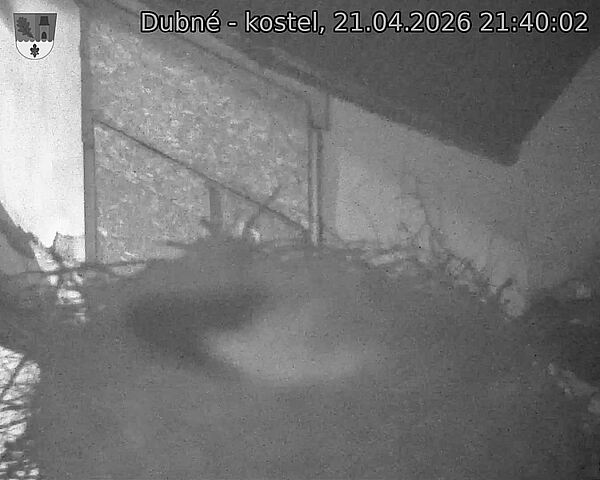 Capi_Dubne_20260421_214002.jpg (1350&nbsp;x&nbsp;1080)
