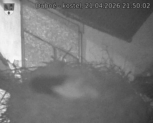 Capi_Dubne_20260421_215002.jpg (1350&nbsp;x&nbsp;1080)