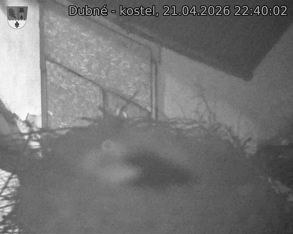 Capi_Dubne_20260421_224002.jpg (1350&nbsp;x&nbsp;1080)