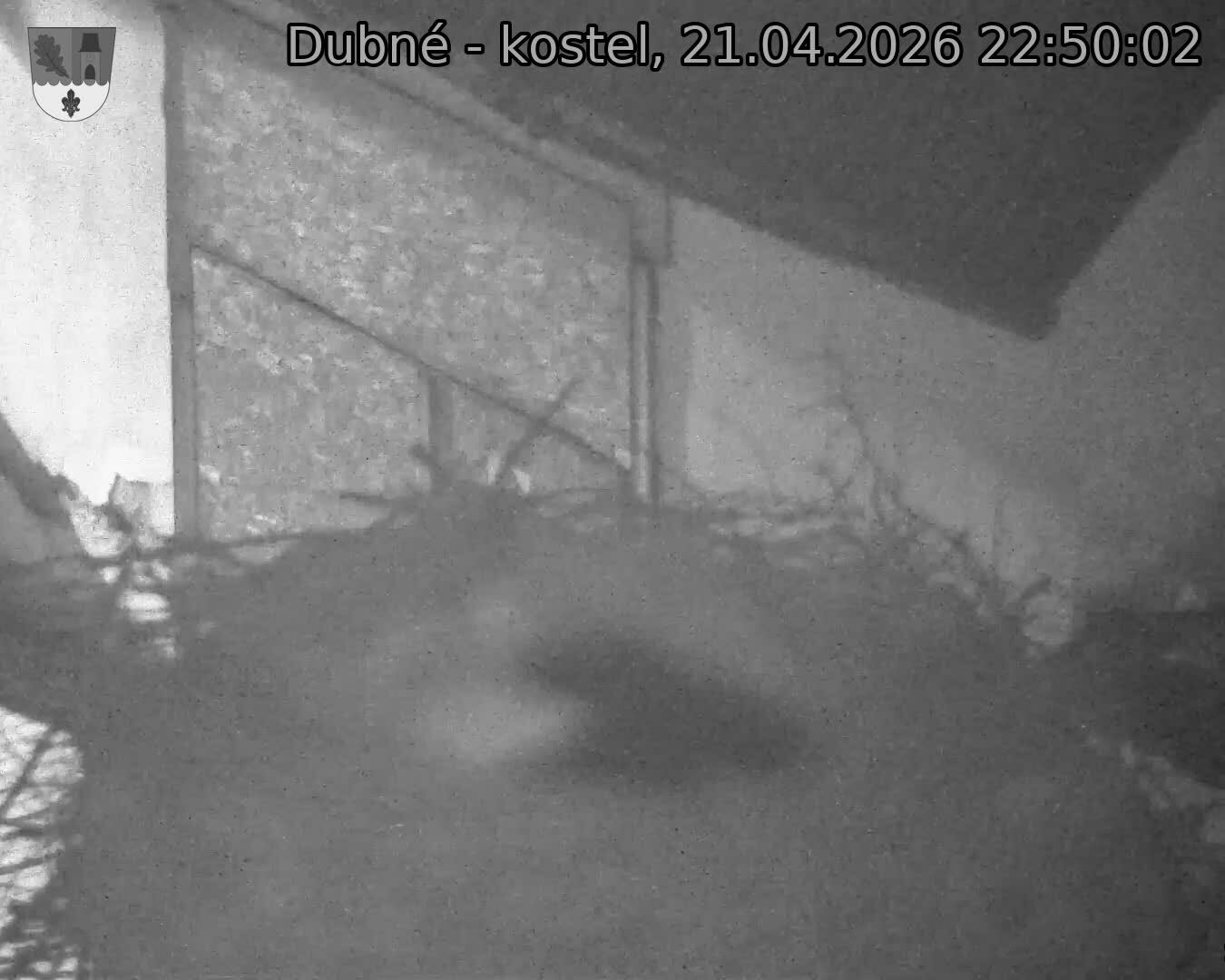 Capi_Dubne_20260421_225002.jpg (1350&nbsp;x&nbsp;1080)