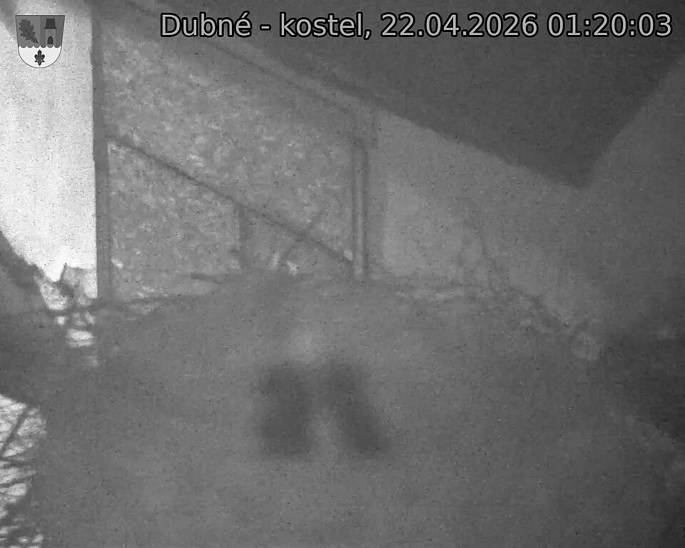 Capi_Dubne_20260422_012003.jpg (1350&nbsp;x&nbsp;1080)