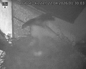 Capi_Dubne_20260422_013003.jpg (1350&nbsp;x&nbsp;1080)