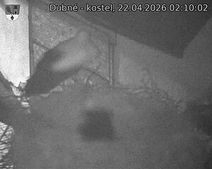 Capi_Dubne_20260422_021002.jpg (1350&nbsp;x&nbsp;1080)