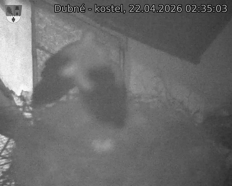 Capi_Dubne_20260422_023503.jpg (1350&nbsp;x&nbsp;1080)