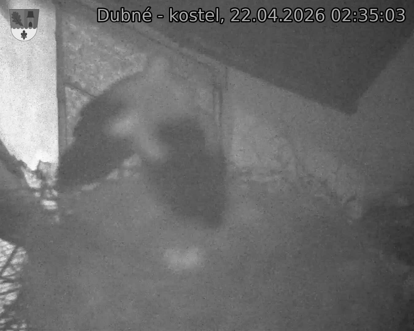 Capi_Dubne_20260422_023503.jpg (1350&nbsp;x&nbsp;1080)