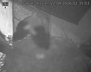 Capi_Dubne_20260422_023503.jpg (1350&nbsp;x&nbsp;1080)