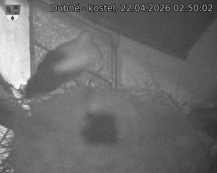 Capi_Dubne_20260422_025002.jpg (1350&nbsp;x&nbsp;1080)