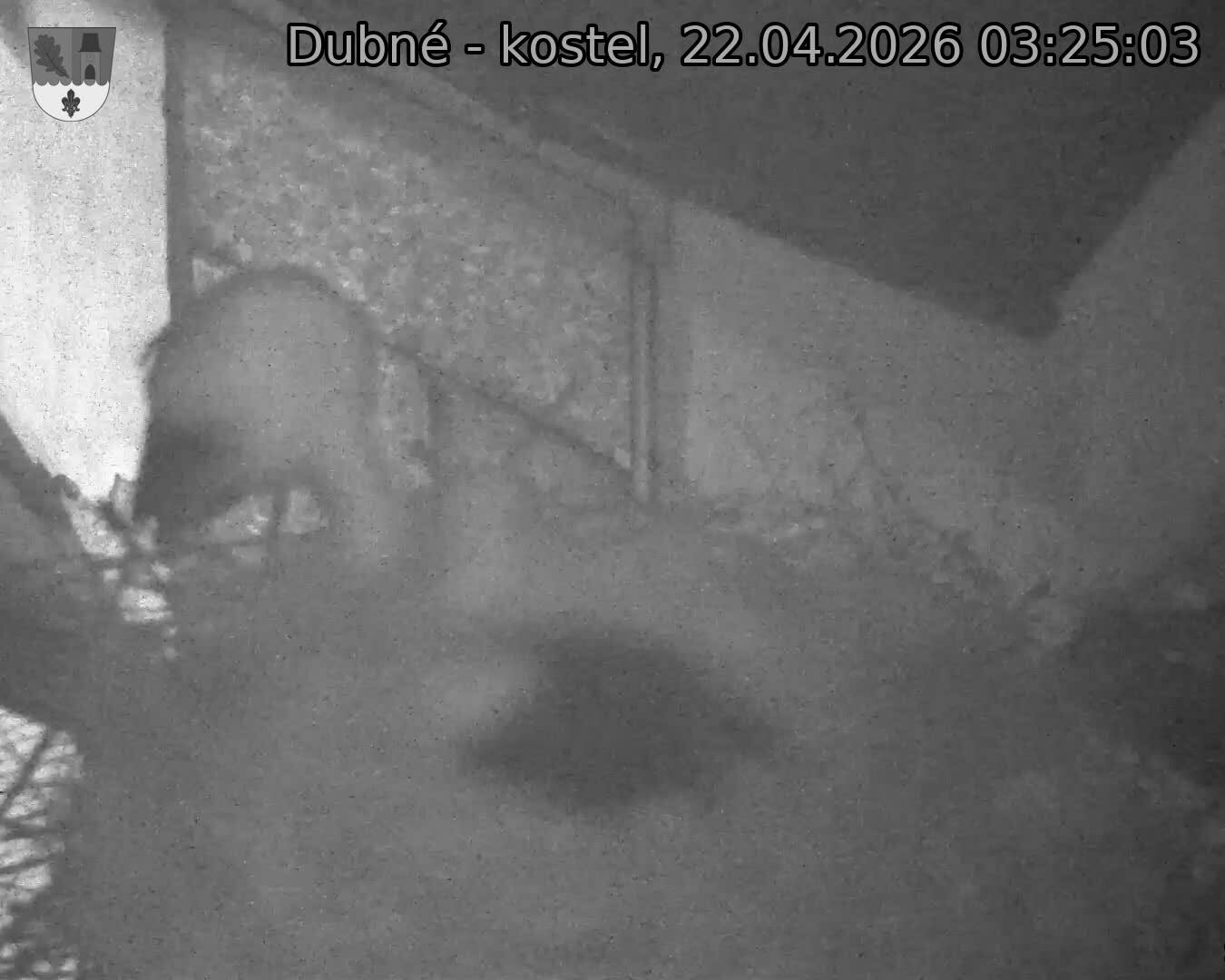 Capi_Dubne_20260422_032503.jpg (1350&nbsp;x&nbsp;1080)