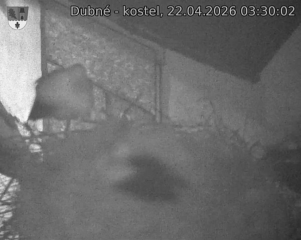 Capi_Dubne_20260422_033002.jpg (1350&nbsp;x&nbsp;1080)
