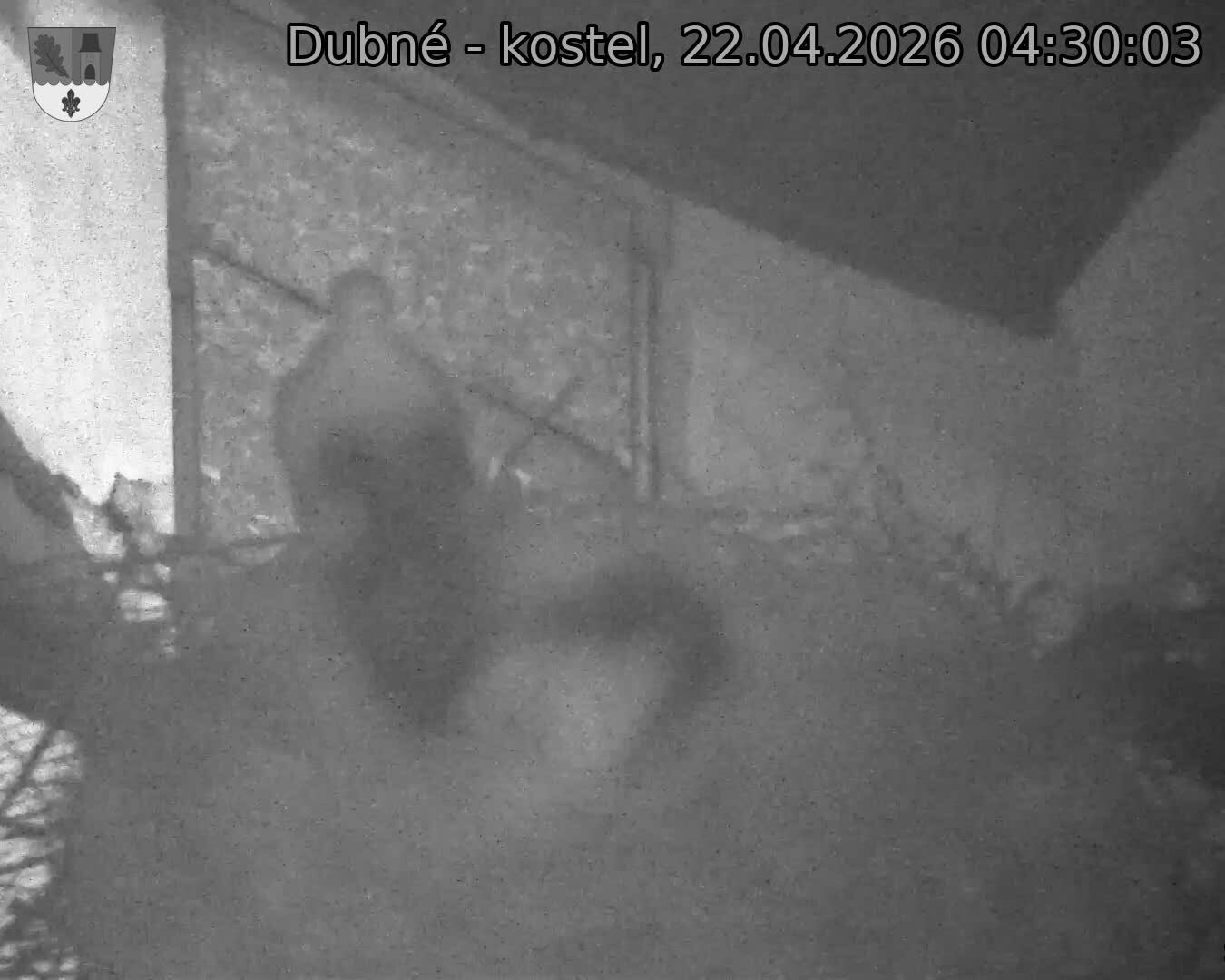 Capi_Dubne_20260422_043003.jpg (1350&nbsp;x&nbsp;1080)
