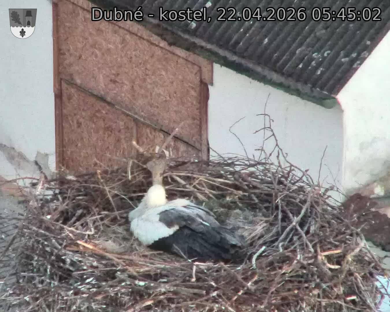 Capi_Dubne_20260422_054502.jpg (1350&nbsp;x&nbsp;1080)