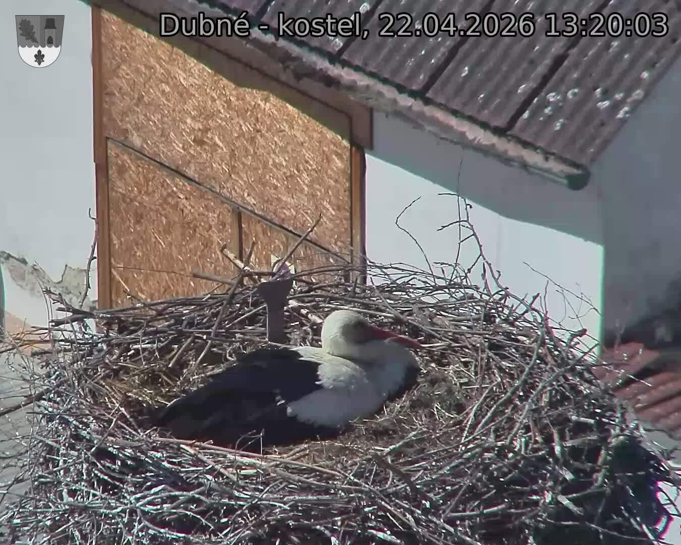 Capi_Dubne_20260422_132003.jpg (1350&nbsp;x&nbsp;1080)