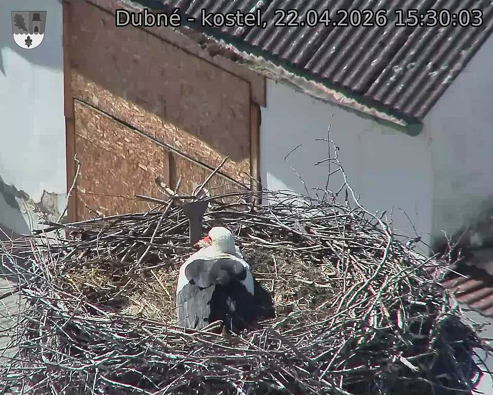 Capi_Dubne_20260422_153003.jpg (1350&nbsp;x&nbsp;1080)