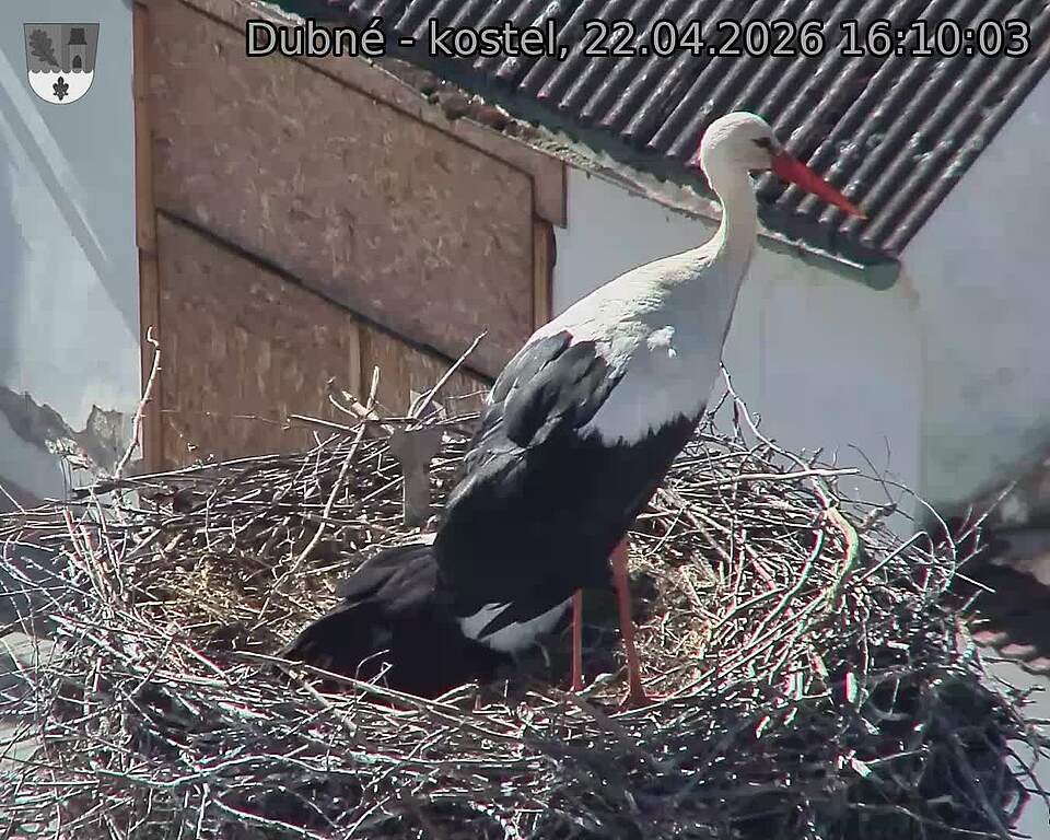 Capi_Dubne_20260422_161003.jpg (1350&nbsp;x&nbsp;1080)