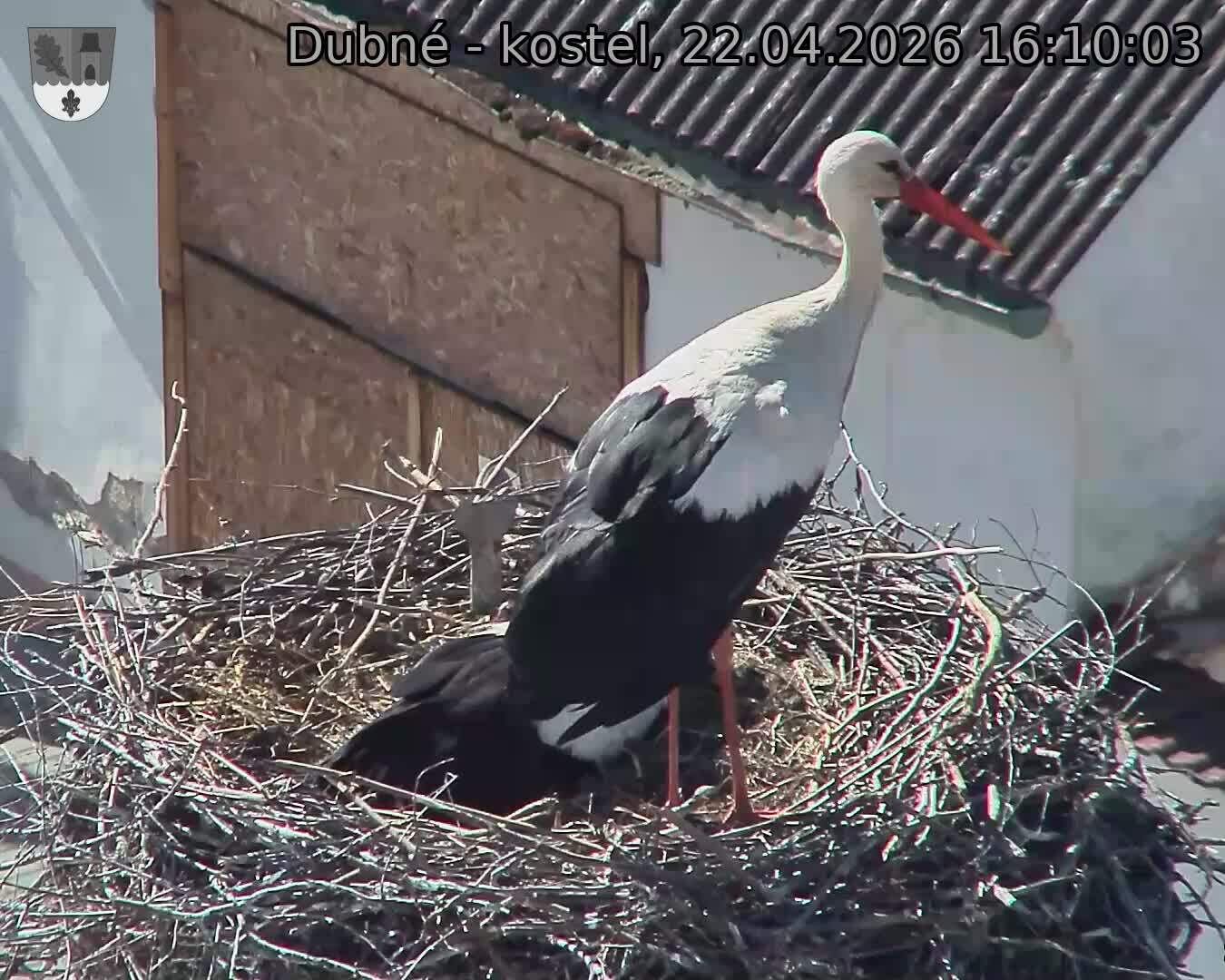 Capi_Dubne_20260422_161003.jpg (1350&nbsp;x&nbsp;1080)