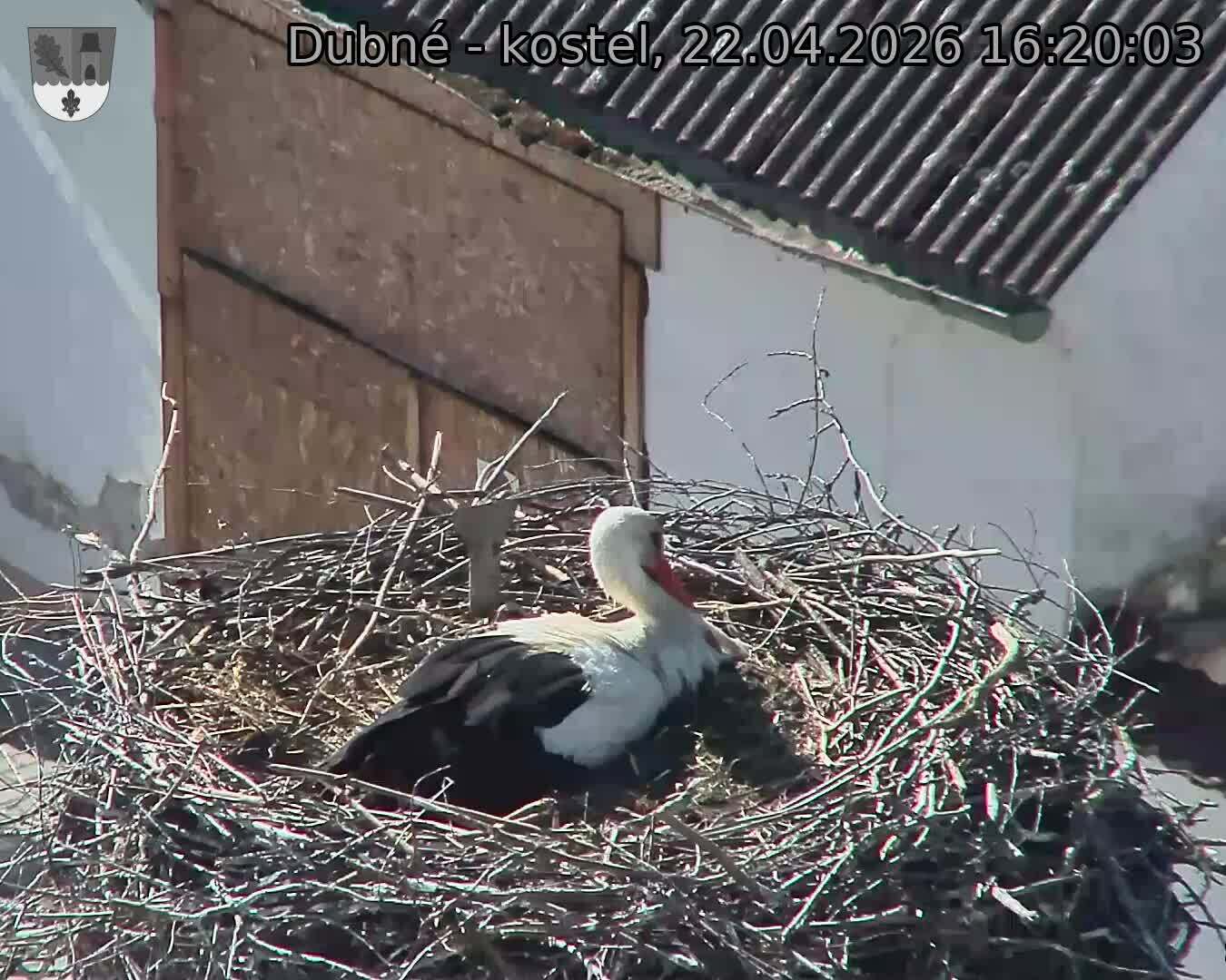 Capi_Dubne_20260422_162003.jpg (1350&nbsp;x&nbsp;1080)