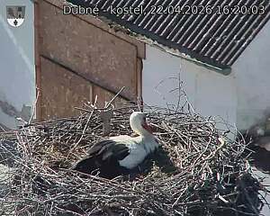 Capi_Dubne_20260422_162003.jpg (1350&nbsp;x&nbsp;1080)