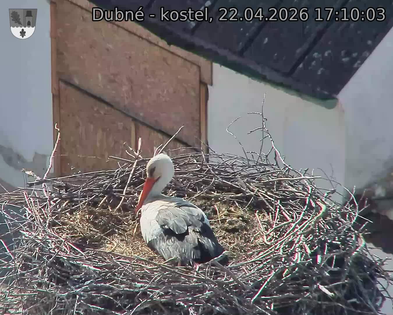 Capi_Dubne_20260422_171003.jpg (1350&nbsp;x&nbsp;1080)