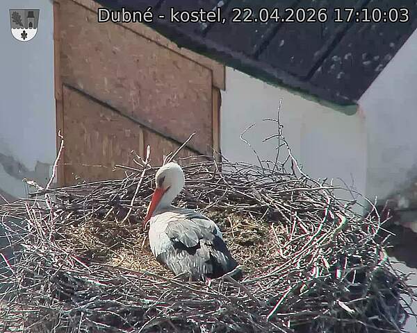 Capi_Dubne_20260422_171003.jpg (1350&nbsp;x&nbsp;1080)