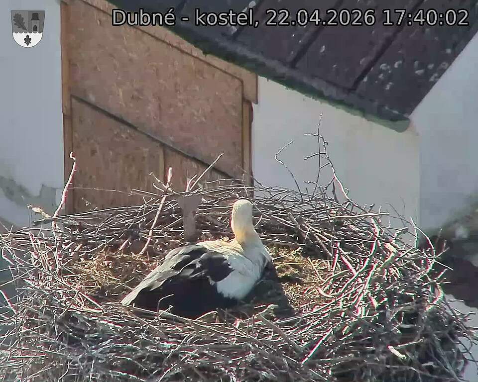 Capi_Dubne_20260422_174002.jpg (1350&nbsp;x&nbsp;1080)