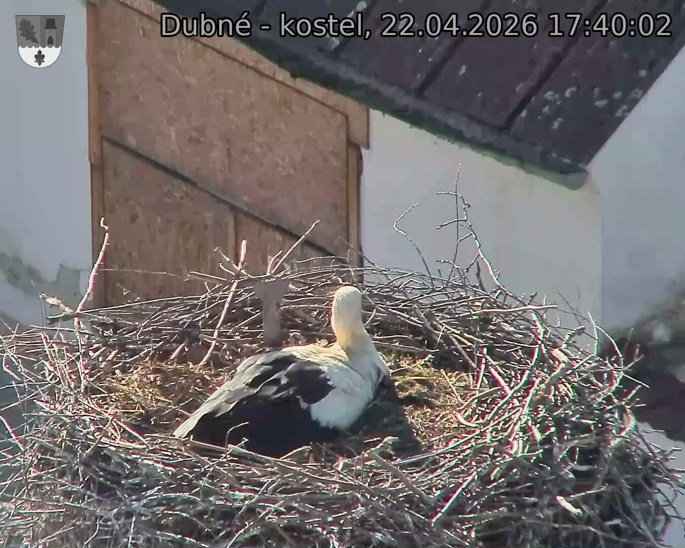 Capi_Dubne_20260422_174002.jpg (1350&nbsp;x&nbsp;1080)