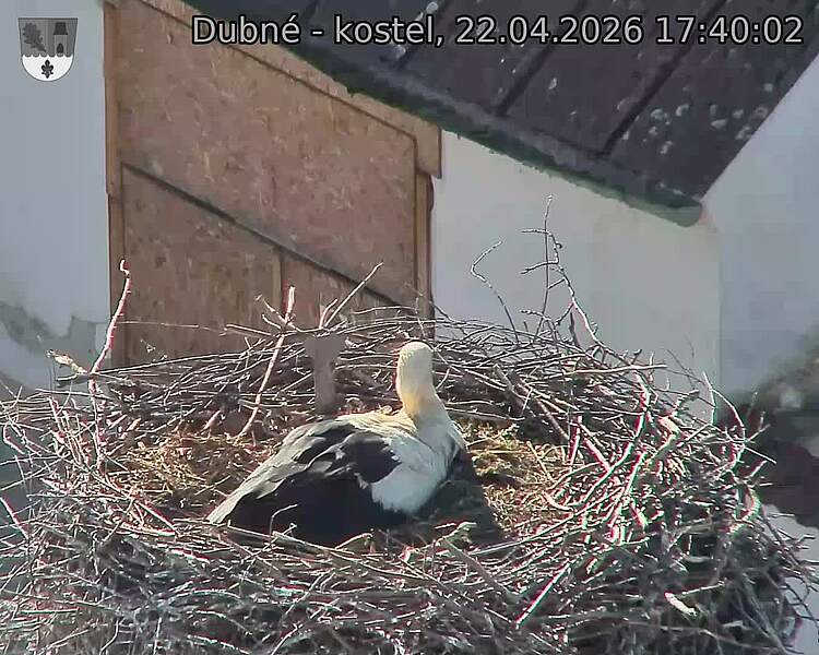 Capi_Dubne_20260422_174002.jpg (1350&nbsp;x&nbsp;1080)