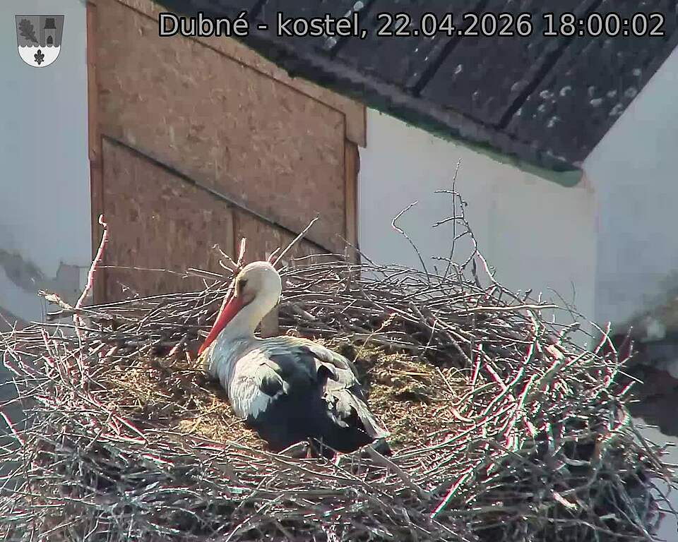 Capi_Dubne_20260422_180003.jpg (1350&nbsp;x&nbsp;1080)