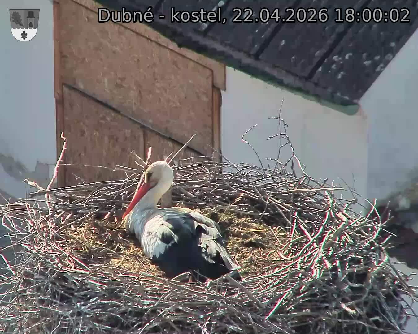 Capi_Dubne_20260422_180003.jpg (1350&nbsp;x&nbsp;1080)