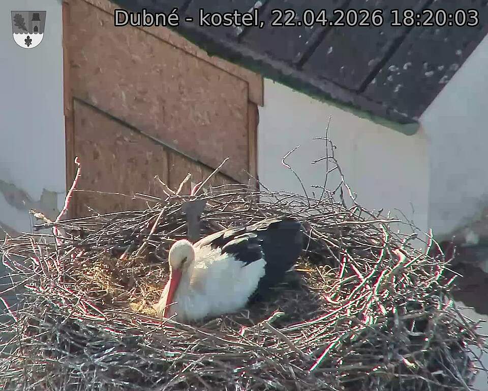 Capi_Dubne_20260422_182003.jpg (1350&nbsp;x&nbsp;1080)