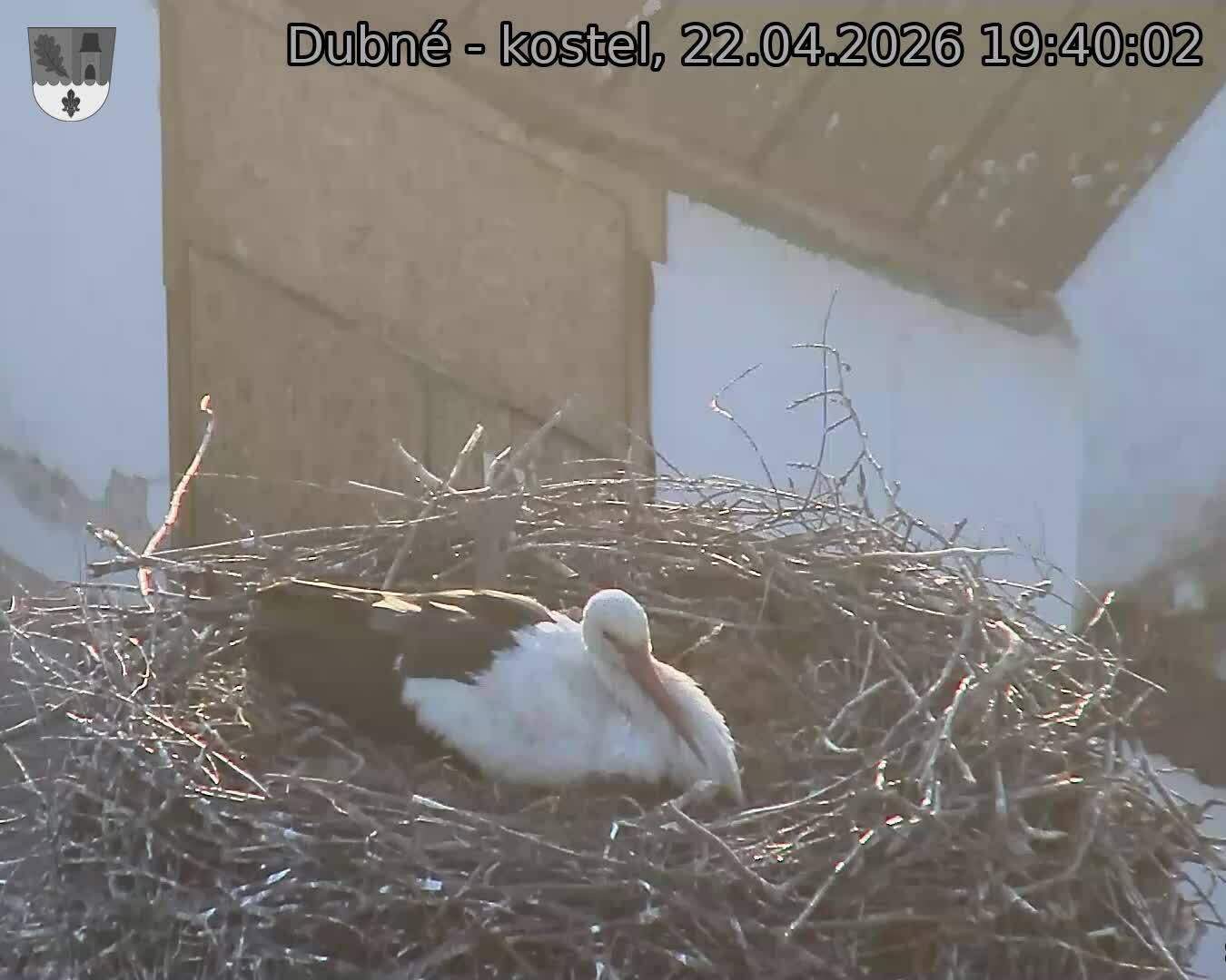 Capi_Dubne_20260422_194002.jpg (1350&nbsp;x&nbsp;1080)