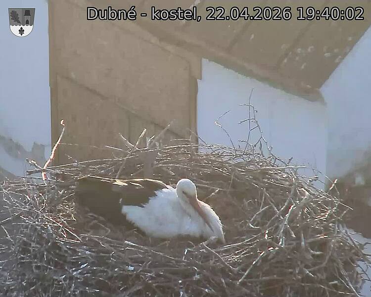 Capi_Dubne_20260422_194002.jpg (1350&nbsp;x&nbsp;1080)