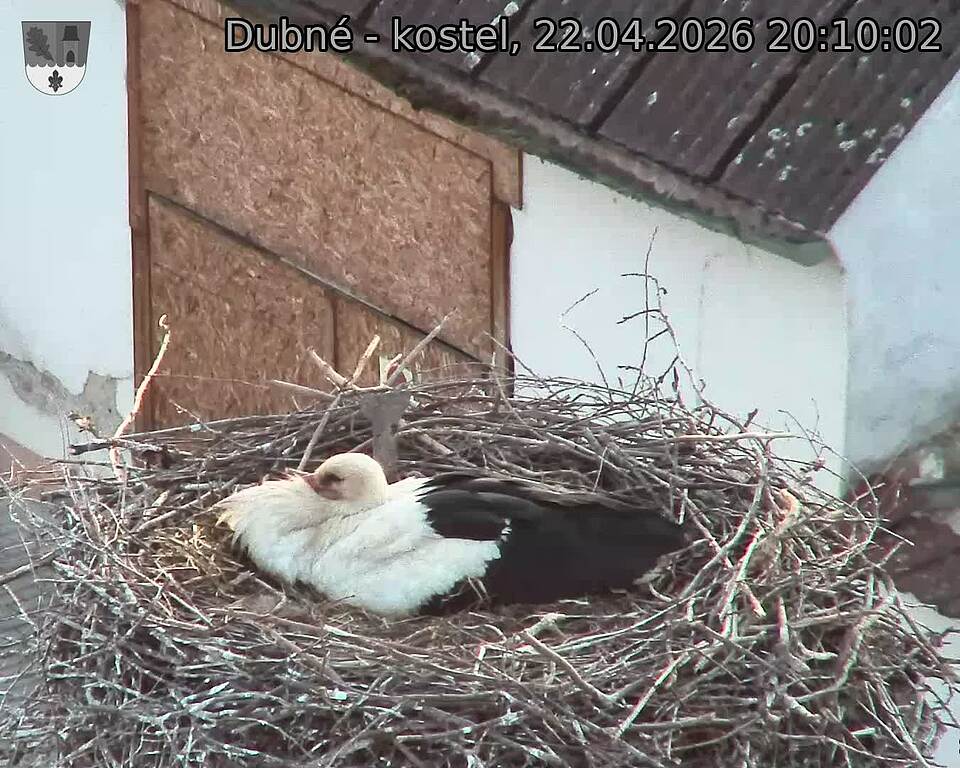 Capi_Dubne_20260422_201002.jpg (1350&nbsp;x&nbsp;1080)