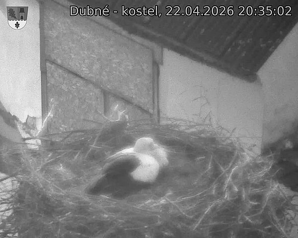 Capi_Dubne_20260422_203502.jpg (1350&nbsp;x&nbsp;1080)