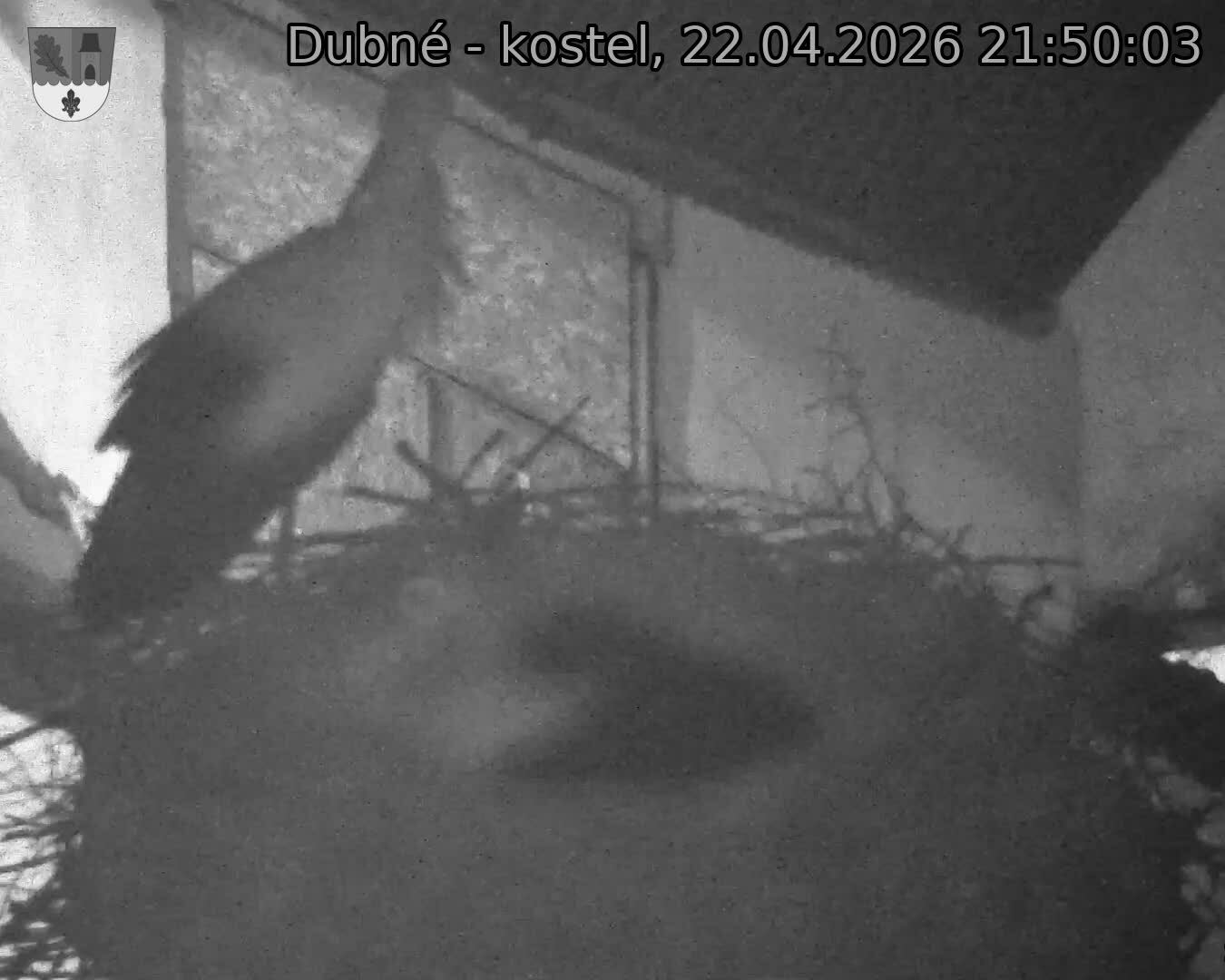 Capi_Dubne_20260422_215003.jpg (1350&nbsp;x&nbsp;1080)