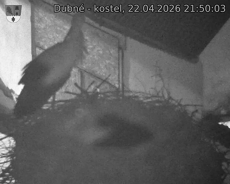 Capi_Dubne_20260422_215003.jpg (1350&nbsp;x&nbsp;1080)