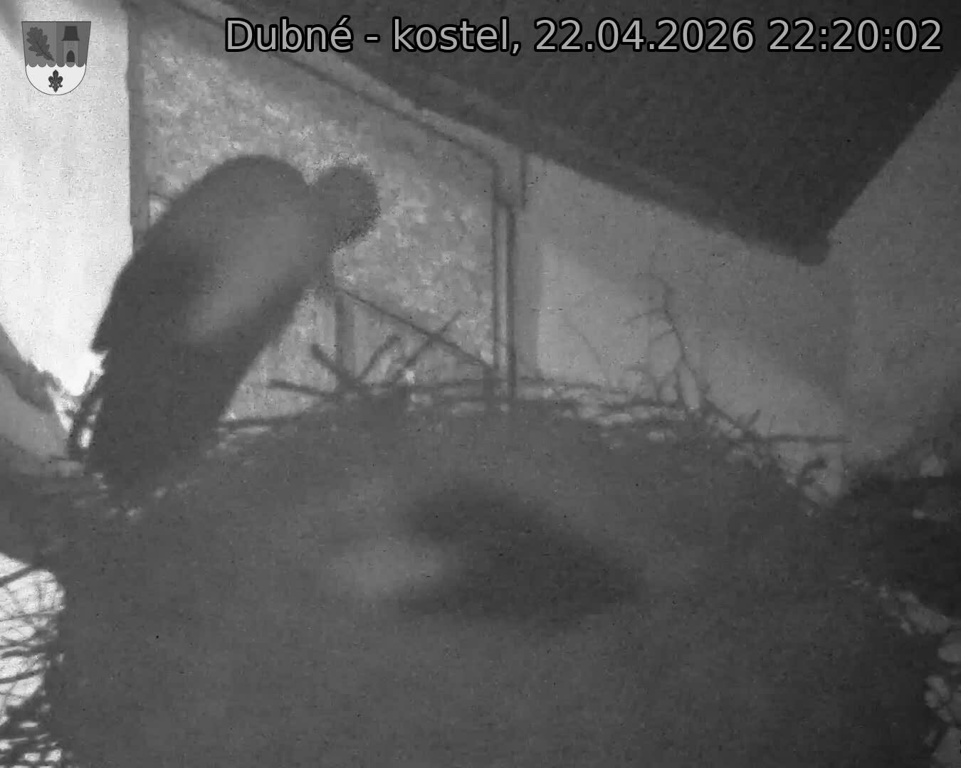 Capi_Dubne_20260422_222002.jpg (1350&nbsp;x&nbsp;1080)