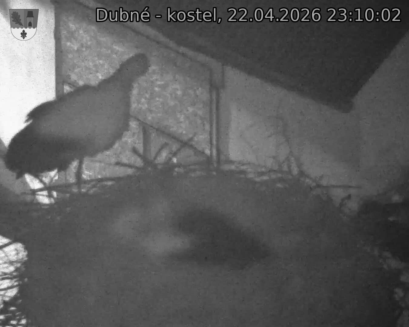 Capi_Dubne_20260422_231002.jpg (1350&nbsp;x&nbsp;1080)