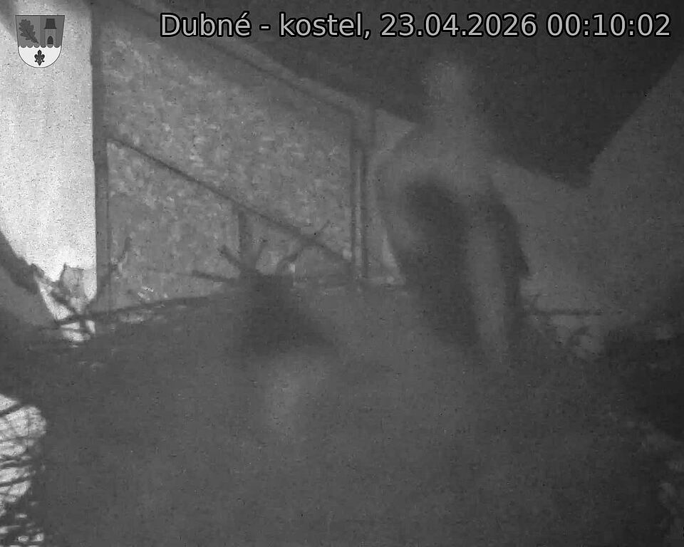 Capi_Dubne_20260423_001002.jpg (1350&nbsp;x&nbsp;1080)