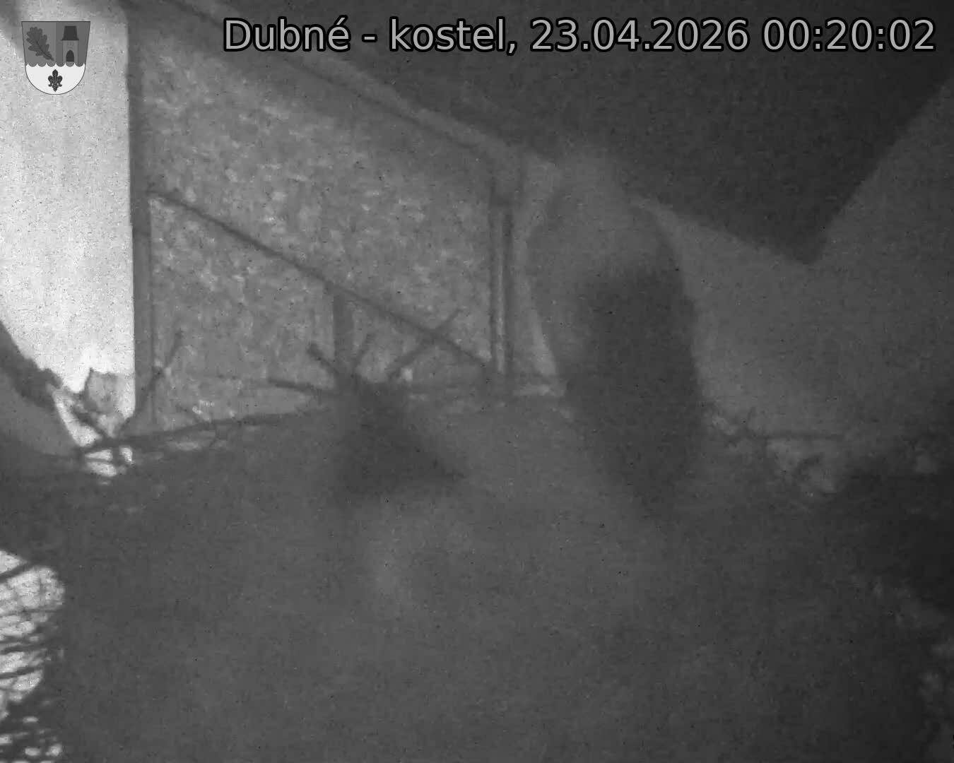 Capi_Dubne_20260423_002002.jpg (1350&nbsp;x&nbsp;1080)