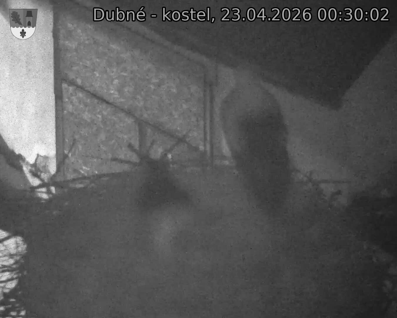 Capi_Dubne_20260423_003002.jpg (1350&nbsp;x&nbsp;1080)