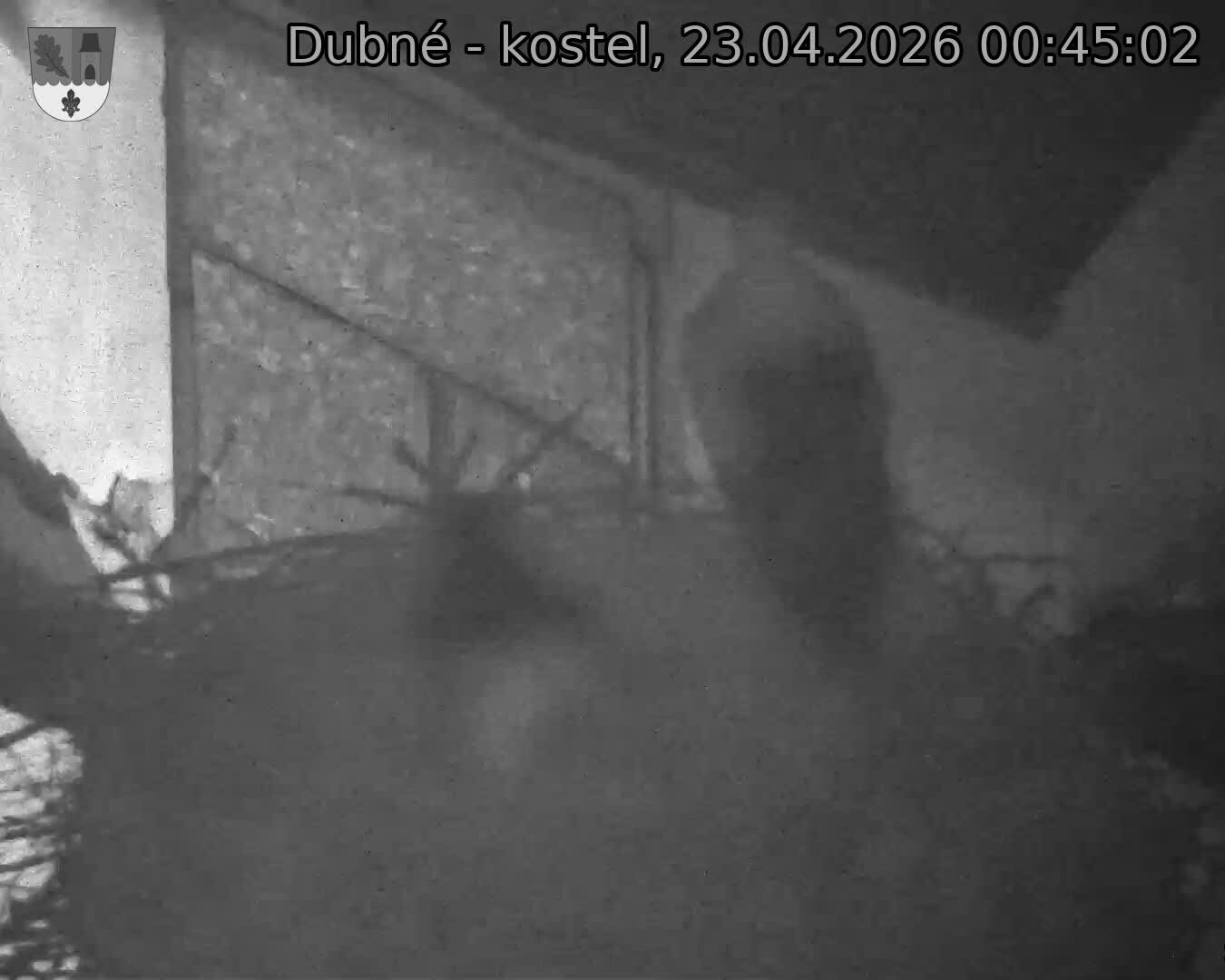 Capi_Dubne_20260423_004502.jpg (1350&nbsp;x&nbsp;1080)