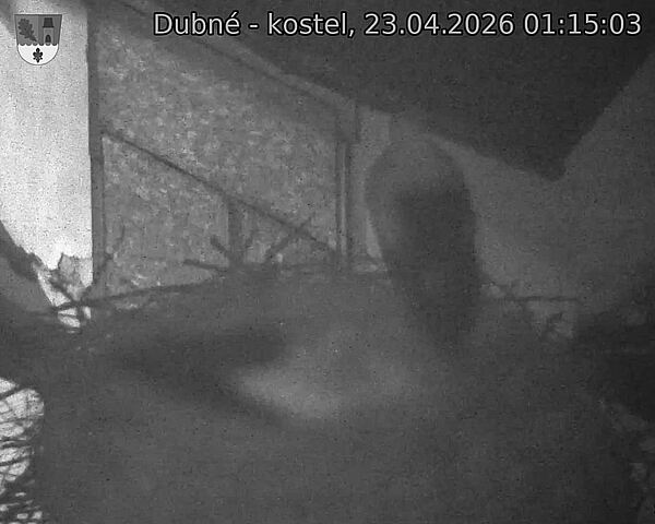 Capi_Dubne_20260423_011503.jpg (1350&nbsp;x&nbsp;1080)